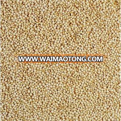 WHITE QUINOA SEEDS