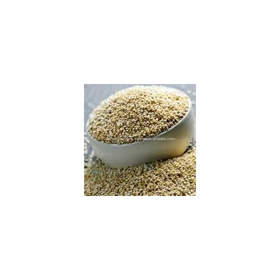 Hot Selling QUINOA SEEDS COMPETITIVE PRICE