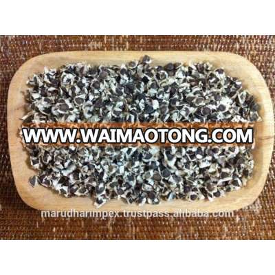 MORINGA SEEDS / SEEDS