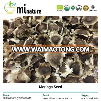 Moringa Oleifera Seeds / Moringa Seed Best Price