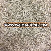 PRICE QUINOA/ Origin India